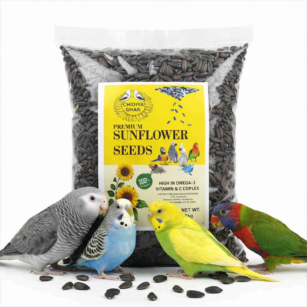 CHIDIYA GHAR Sunflower Seeds for Birds| 950 Grams (Fully Cleaned) | for Parrot Buddgie Macaw Cockatiel Dove-picture-10