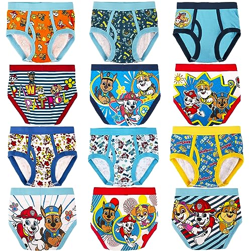 Paw Patrol Boys' 12-pk of 100% Cotton Panties in Advent Box Makes Holidays and Potty Training Fun, Sizes 2/3t, 4t & 5t