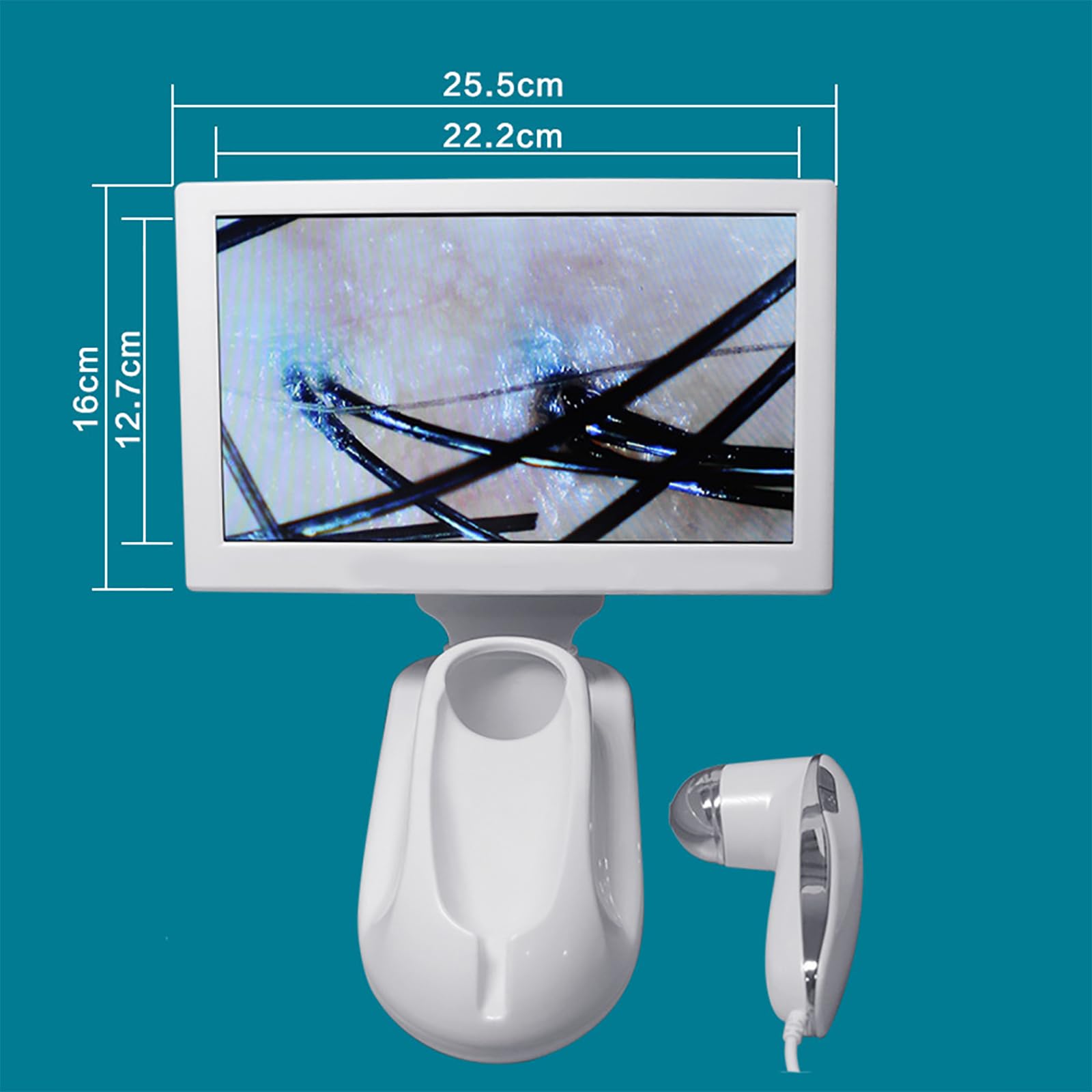 Haarfollikel-Analysegerät, Hautdiagnosegerät, 11-Zoll-HD-Display/200-fache Kopfhautlinse/Kann Fotos Aufnehmen Und Bilder Einfrieren, Um Verstopfte Poren Der Kopfhaut Zu Lösen