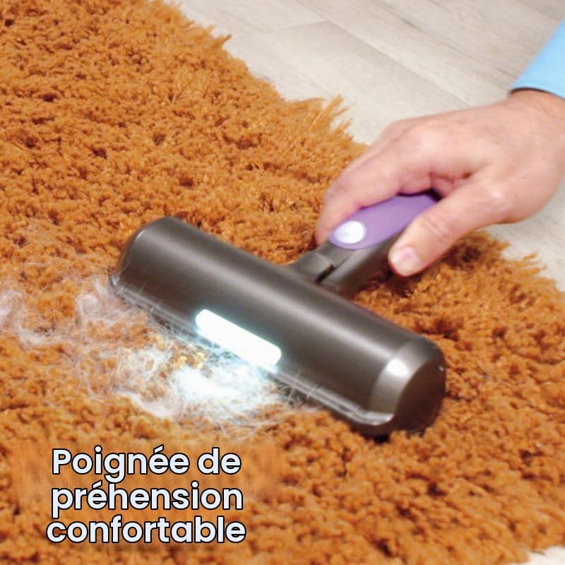 VENTEO™ - Fur Daddy Sweeper Brush - Brosse Anti Poils Animaux - Ramasse Poils Chat et Chien - Violet et Gris - pour Canapé/Vêtements - Lot de 2