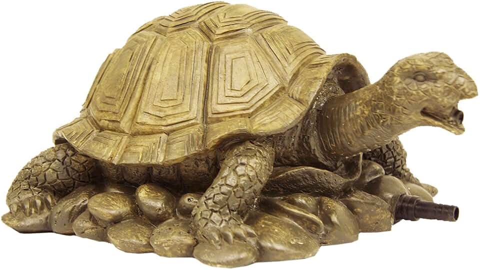 черепаха 28. черепаха. черепаха и остров. черепаха 28. черепаха на рабочий стол.