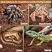 Riare 8 Pack Natural Coconut Fiber Substrate for Reptile- Premium Compressed Coconut Husk Terrarium Bedding for Reptile, Tortoise, Frogs, Snakes Hermit Crabs, Burrowing Animals