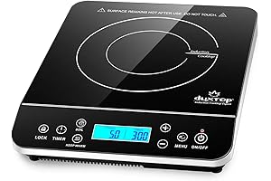 Breville Polyscience Induction Burner: The Ultimate Precision Cooking Tool