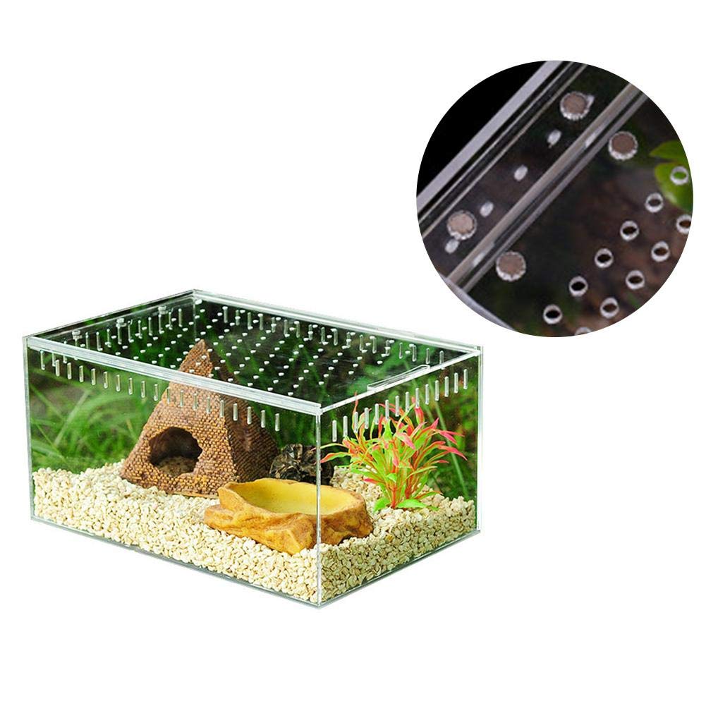 Acryl Reptilien-Zuchtbox Transparent - Futterbox Für Insekten & Kleintiere