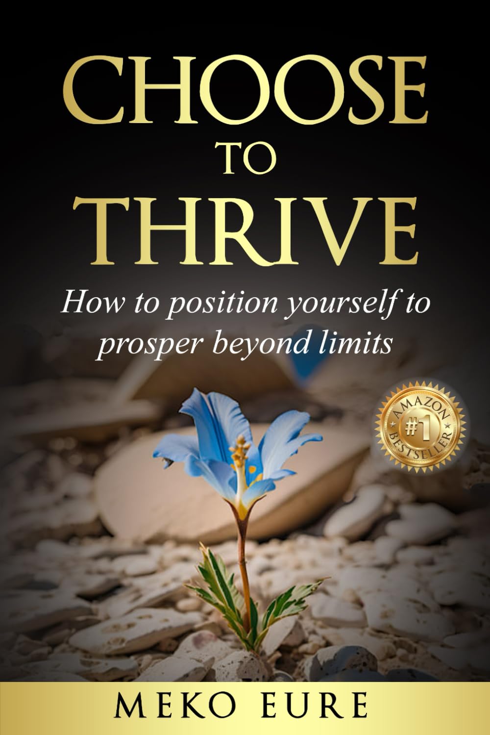 Choose To Thrive: How To Position Yourself To Prosper Beyond Limits