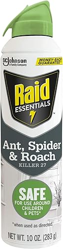 Raid Essentials Ant Spider and Roach Killer Aerosol mata insectos rápidamente, para uso en interiores, 10 onzas (paquete de 4)