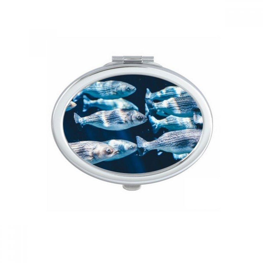 Miroir de poche animal marin multicolore avec motif organisme aquatique pour sac à main