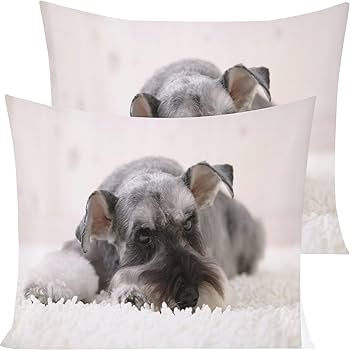 Amazon｜シュナウザー掛け布団カバー150x210 cm乳白色布団カバー