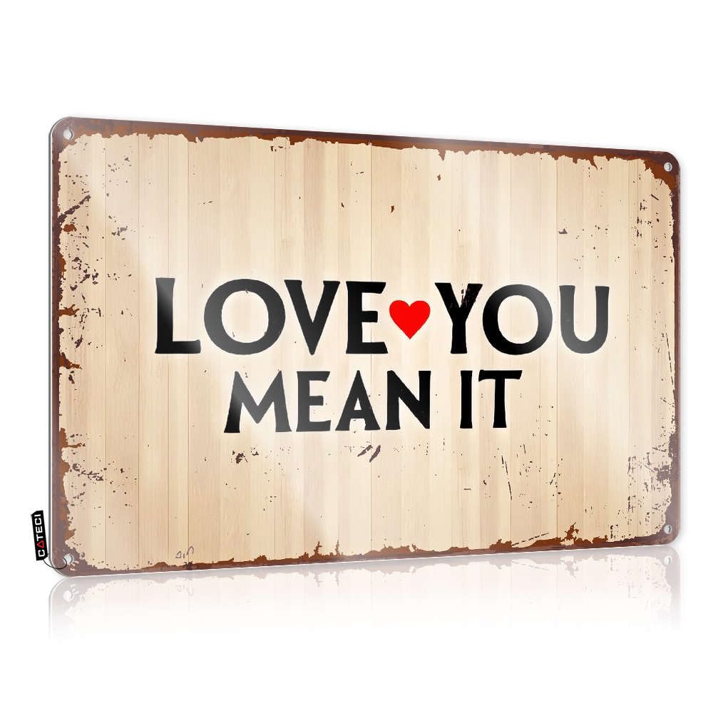 Fzfn Colour Tin Sign Stuff For Bedroom Kitchen Amazing Nice Love You Mean It - Easy To Hang Art(30X40cm)