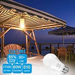 Dusk to Dawn Outdoor Light Bulb,ProPOW 9W (60 Watt Equivalent) A19 LED Light Sensor Bulbs, Smart Automatic on/Off,Indoor/Outdoor Lighting Bulb for Porch Garage Hallway Patio (Soft White, E26, 2 Pack)
