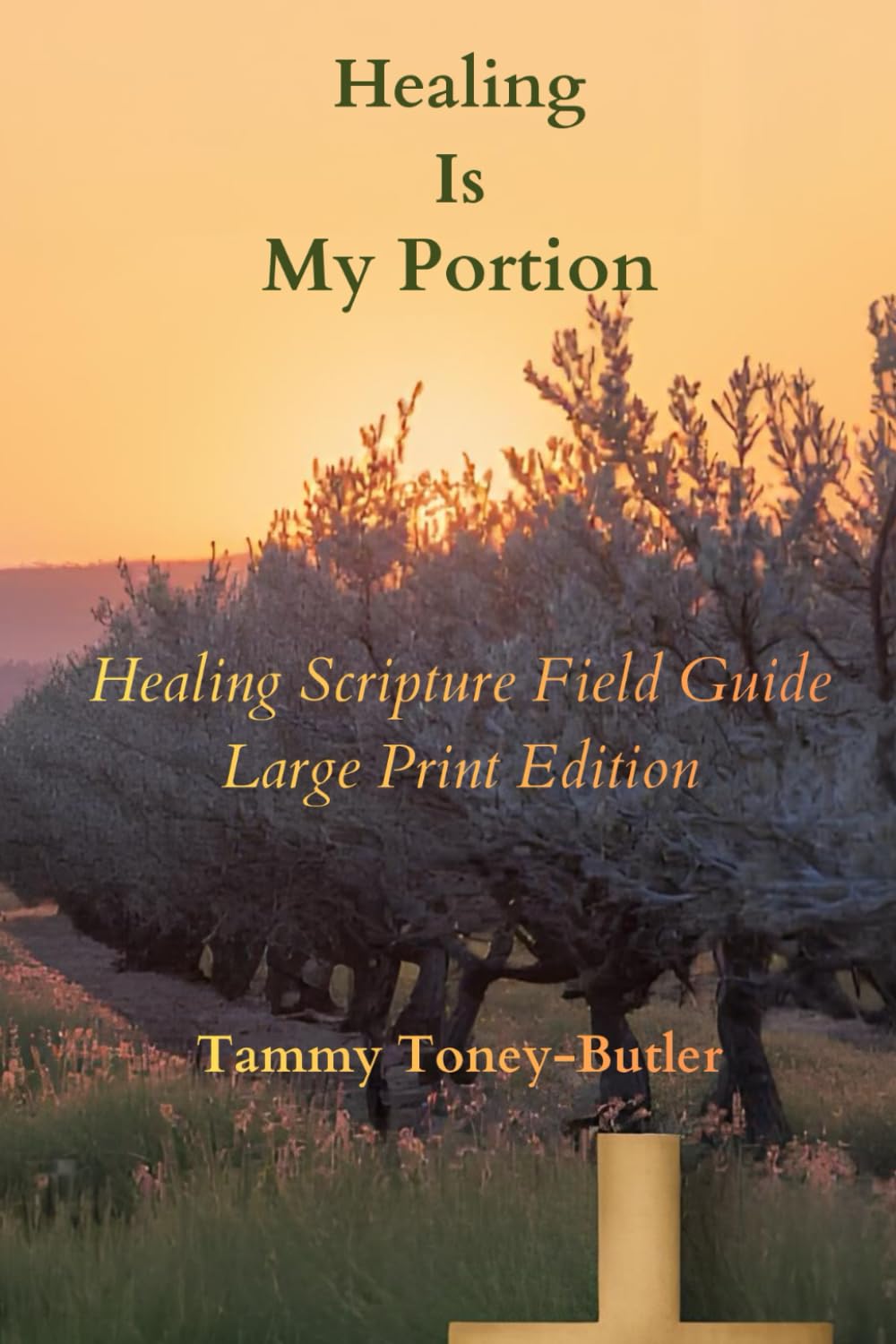 Healing Is My Portion (Large Print Edition): Healing Scripture Field Guide (Healing Is Your Portion Series on Divine Healing)