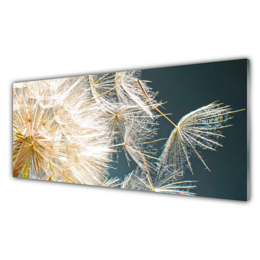 Tableau Moderne en Verre Trempé Tulup 125x50cm Décoration Design Luxe