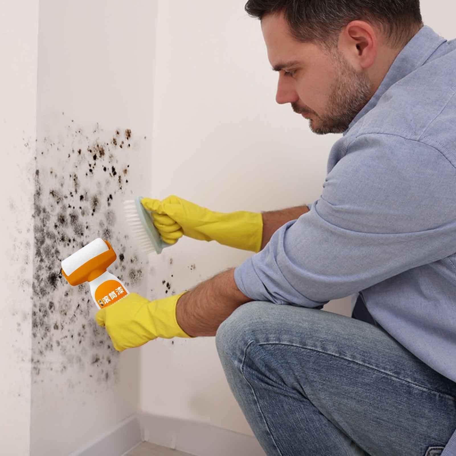 Wall Repair Paste Roller - Wall Repair Roller Paint, Wall Repair Rolling  Brush | Roller Brush for