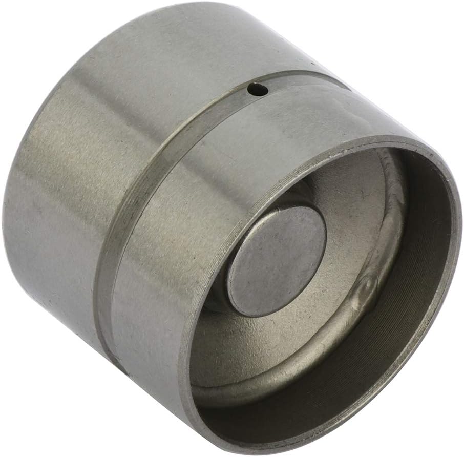 ECCPP Engine Hydraulic Lifter Fit for 2004 2005 2006 2007 2008 for Chevy Aveo 2007-2008 for Chevy Aveo5 1999 2000 2001 2002 for Daewoo Lanos Set of 16