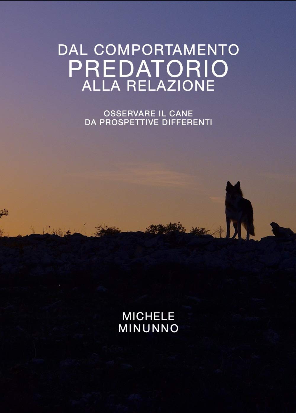Dal comportamento predatorio alla relazione: Osservare il cane da prospettive differenti