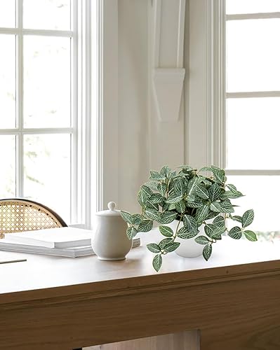 Miniatura 5 de Hollyone Plantas falsas, 2 paquetes de plantas artificiales de interior con maceta de plástico blanco, pequeña planta falsa en maceta para el hogar,