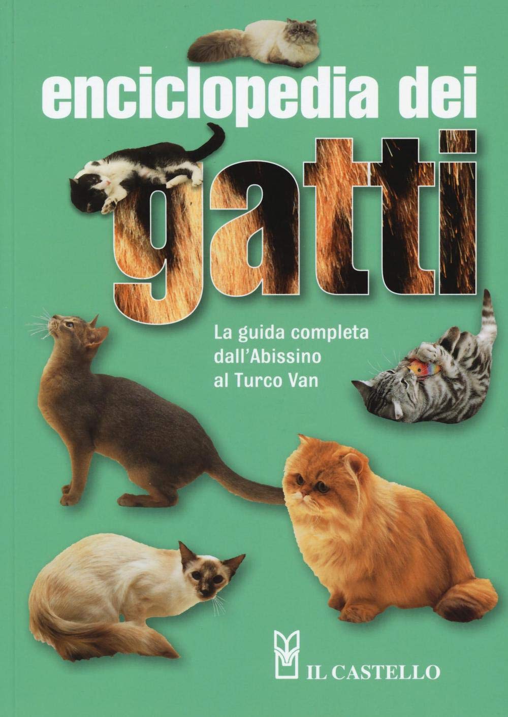 Enciclopedia Dei Gatti. La Guida Completa Dall'abissino Al Turco Van. Ediz. Illustrata - 4
