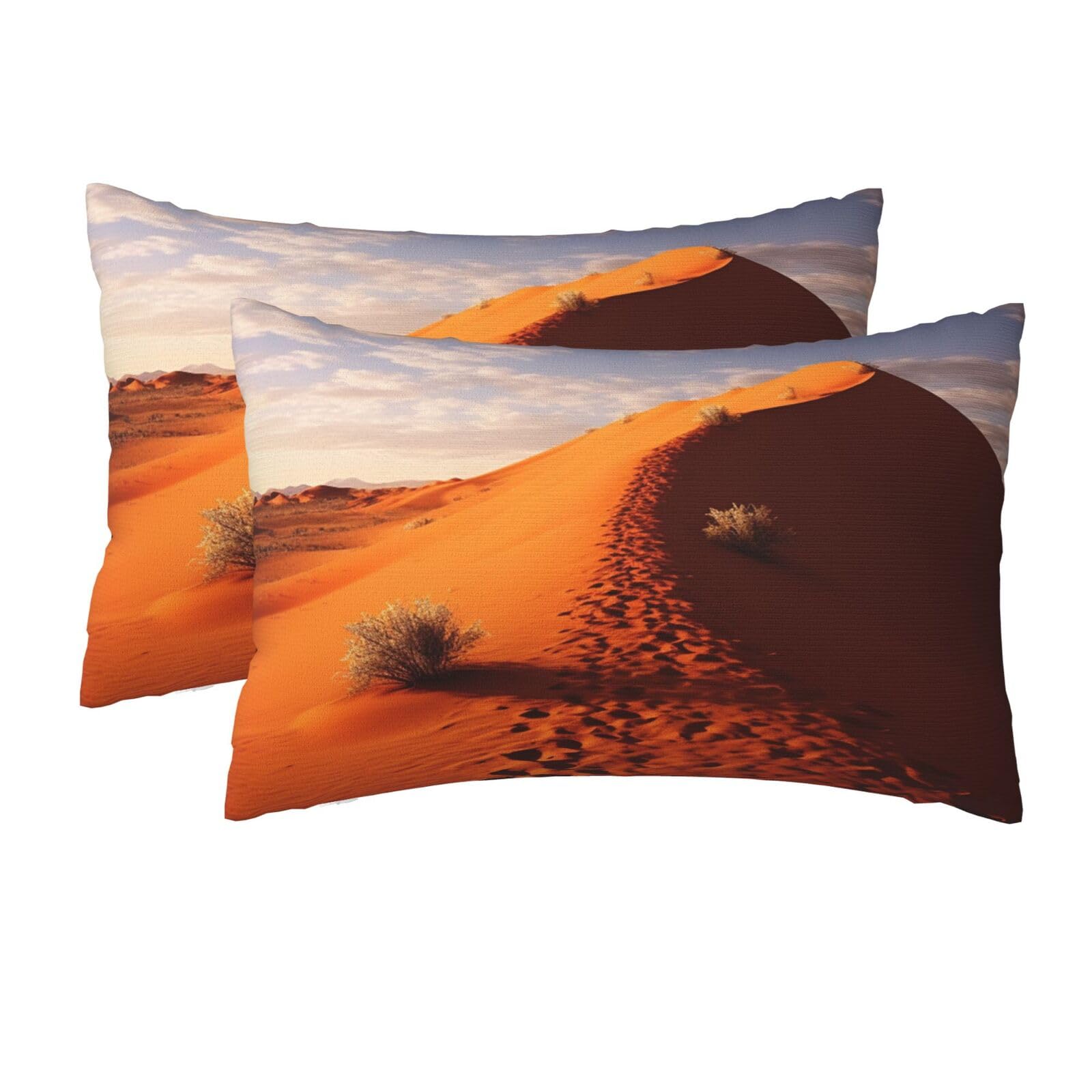 2 Pack Queen Size Pillow Cases for Hair and Skin Soft Breathable Pillow Case Covers with Hidden Zipper Desert Pillowcase 20x30 Inches Pillow Cover for Sleeping Gift