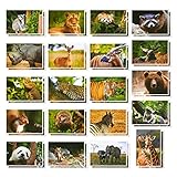 Vorrat: Mit dem Grußkarten-Set von Best Paper Greetings ist man bestens vorbereitet und greift auch schneller zum Stift wenn die Postkarten bereits daheim sind, als wenn man noch extra eine Karte kaufen muss