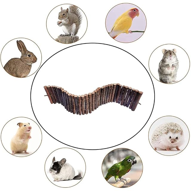 Foto 4 de 8 de Puentes Colgantes Madera para Mascota, Escalera de Madera para Hámster, Hámster Puente Escalera de Madera
