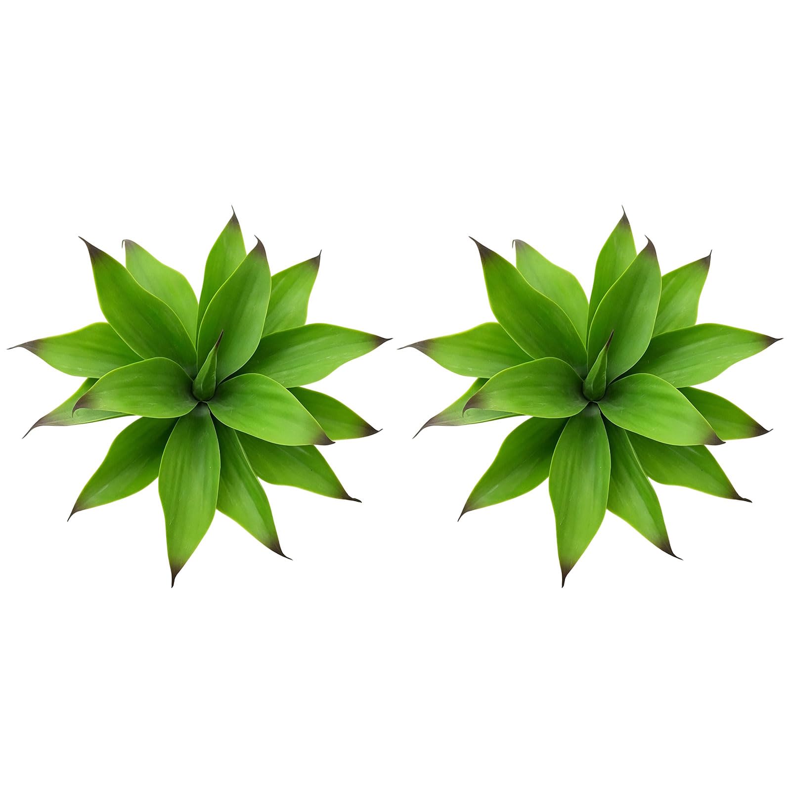 Limtula Realistic Agave Simulation Plant with Sturdy Base Suitable for Various Interior Styles Succulents Ornament Indoor Bushes
