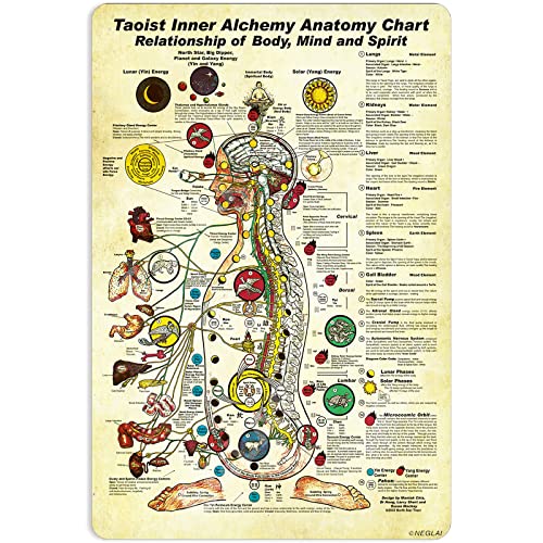 NEGLAI Taoist inner Alchemy Anatomy Chart Knowledge Tin Sign Vintage Decor Home Office Wall Art Medical Classroom Poster Metal Sign 16x12 Inches
