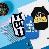 Vista 6 de Firpus Ropa de perro para perros pequeños, camisa de verano con texto a cuadros, camisa personalizada para perro, camisa para perros pequeños