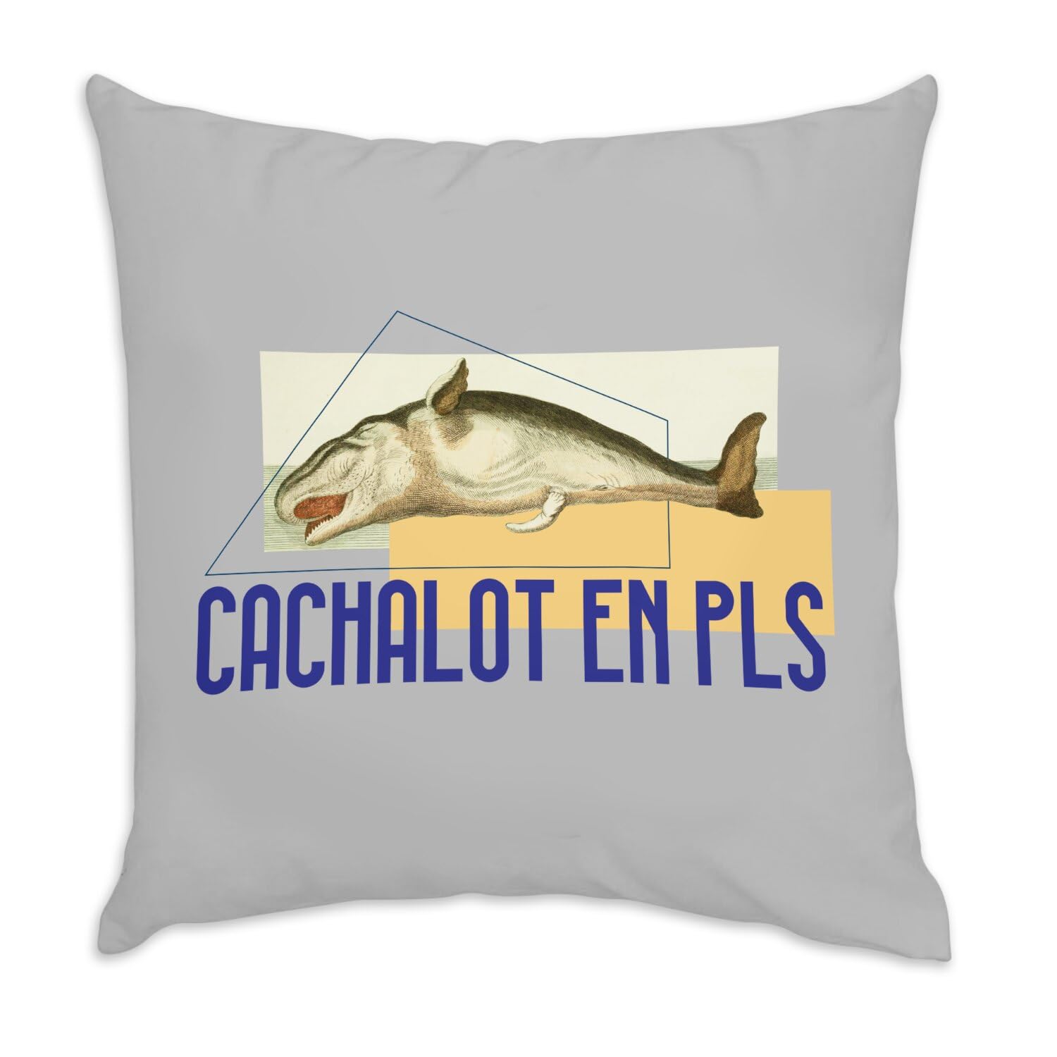 Coussin en velours gris cachelot 40x40 cm avec illustration de biologie ancienne