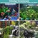 Fischnetz für Aquarien, 2 Stück Garnelen Fangnetz, Kescher Fischnetz Aquarienkescher mit Teleskopstiel Aquarium Fischnetz Kescher für Aquarien Teiche Seen Schwarz