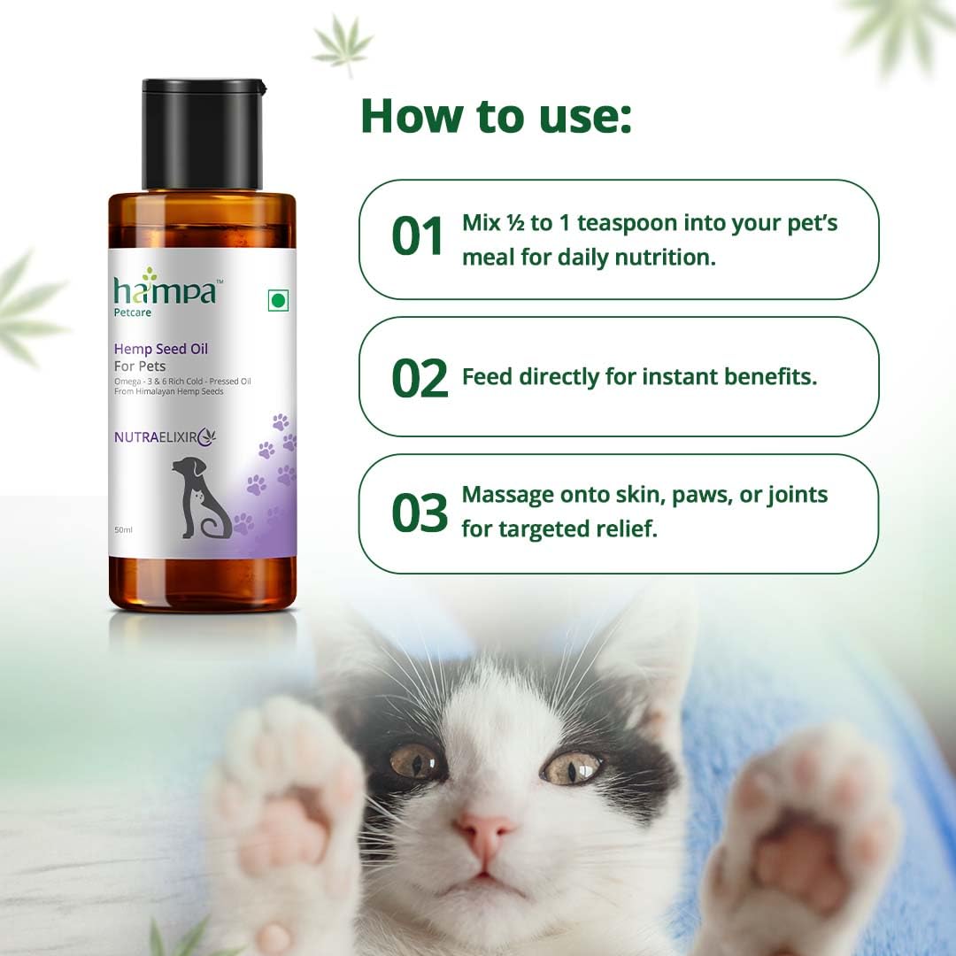 Hampa Hemp Seed Oil for Pets-50 ml | Wholesome Nutrition for pet Dog, Cat | Rich in Omega 3, 6 & Antioxidants | Maintains Healthy Skin & Boost Immunity | Helps in Pain Relief, Stress Calming, Anxiety — Amazon image 3