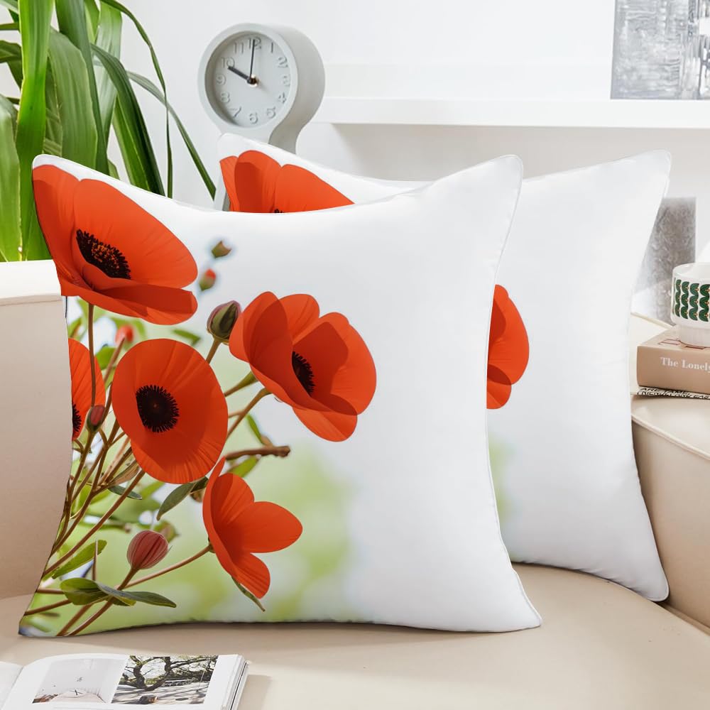Federe Cuscini Divano 45X45 Set Da 2 Copricuscini