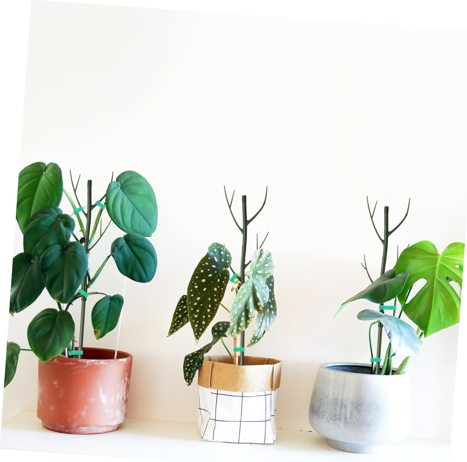 Plant Support Sticks for Vines Monstera Plant Support Stems Easy to Install