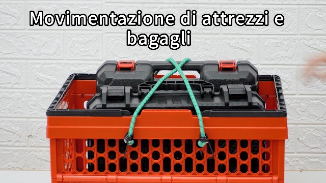 Set 12 Corde Elastiche Con Ganci - 5 Misure Diverse Per Teloni, Bagagli, Bici E Campeggio