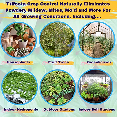 Trifecta Natural Grower Pack: Control de Cultivos y Mejorador de Raíces miniatura 4