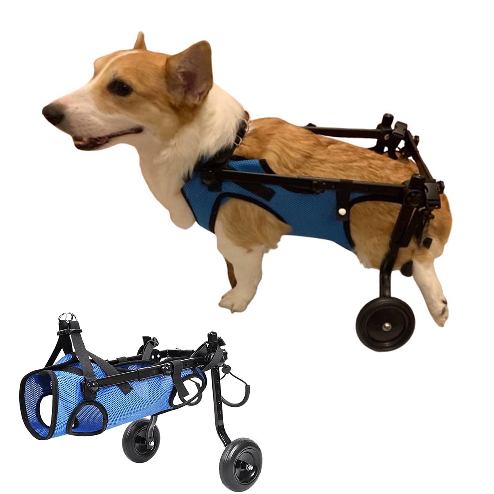 Amazon.co.jp: 後脚用調節可能な犬用車椅子 – コーギー&猫用2輪可動