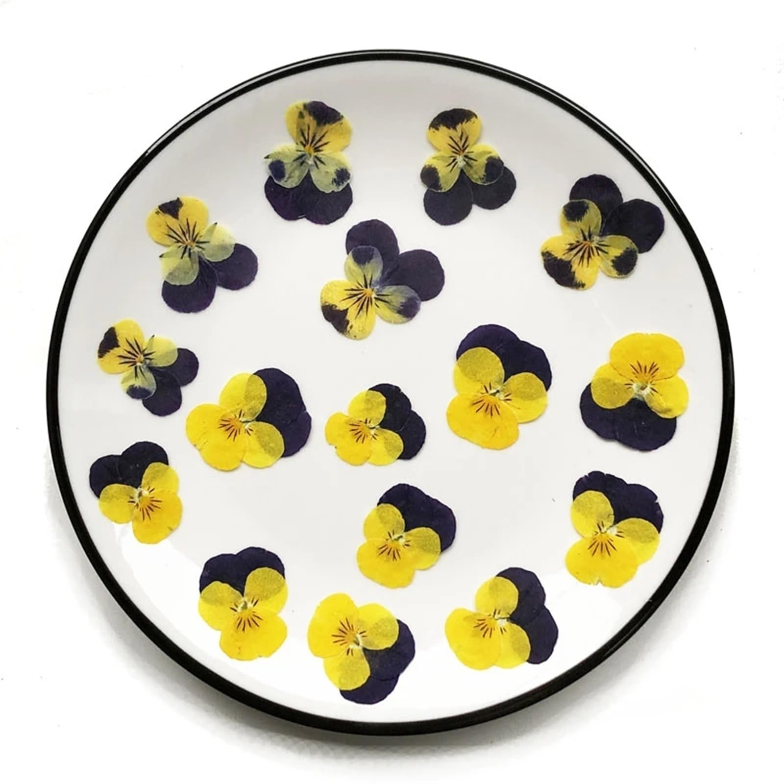 Fiori Secchi Pressati 1 set di erbario di Corydalis Suaveolens essiccato pressato for nail art, trucco viso, cornice for gioielli in resina epossidica, custodia for telefono, artigianato fai da te(VIO