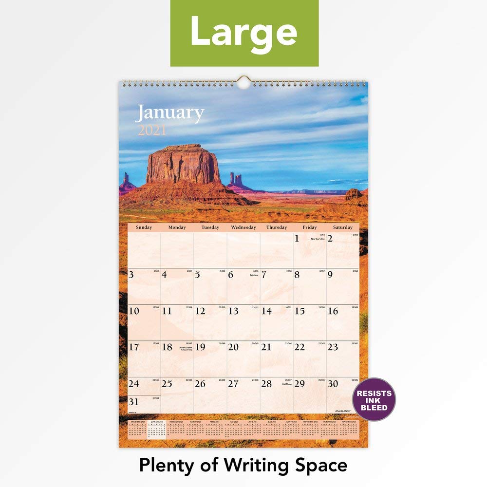 Calendario da parete 2021 di AT-A-GLANCE, 39 x 56 cm, grande, mensile, panoramico (DMW2012821)