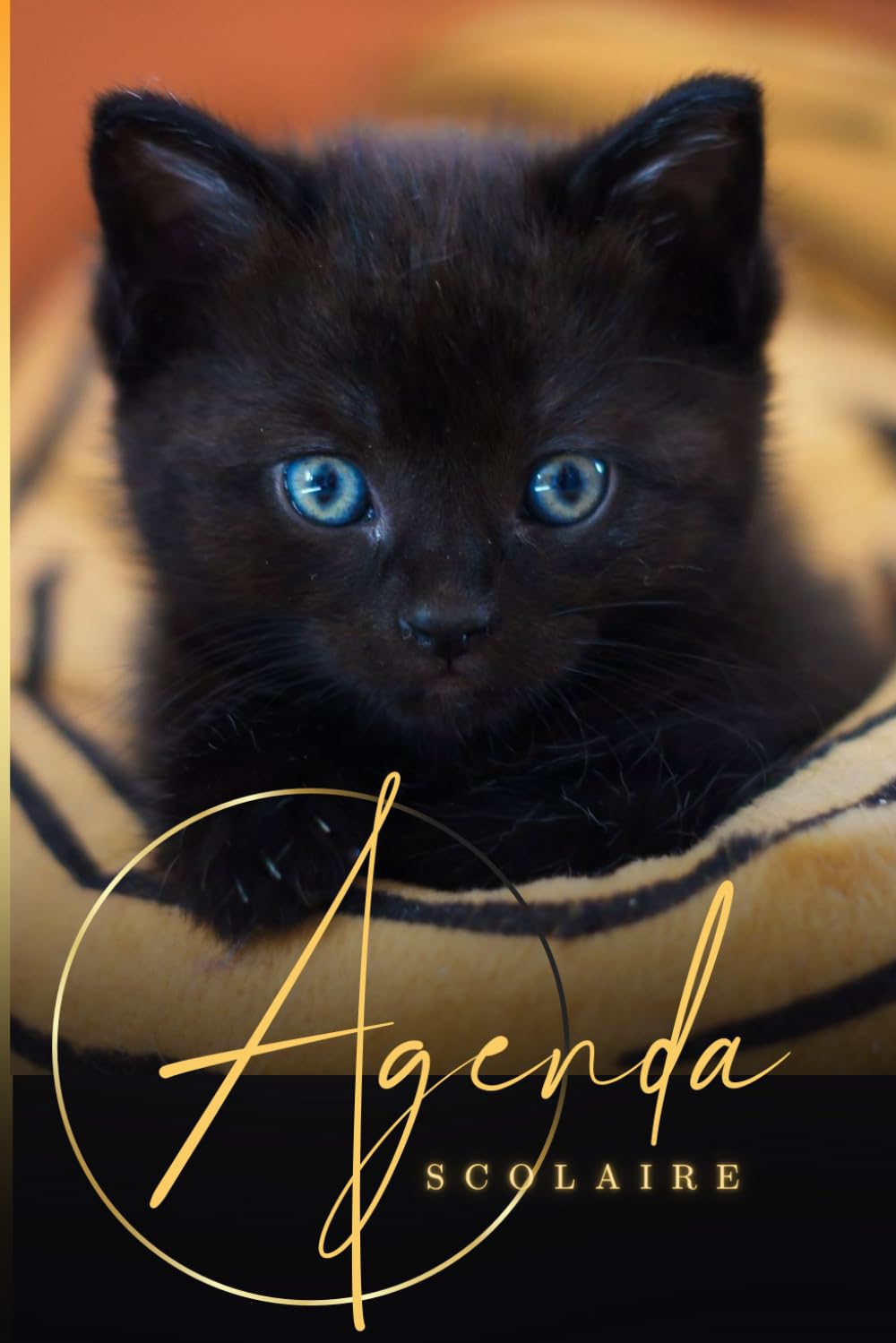 Agenda Scolaire Chat: Organiseur Journalier | Une page par jour | Collège Fille, Garçon, 6ème 5ème 4ème 3ème | Primaire CE1, CE2 CM1, CM2 | Lycée | Chaton mignon