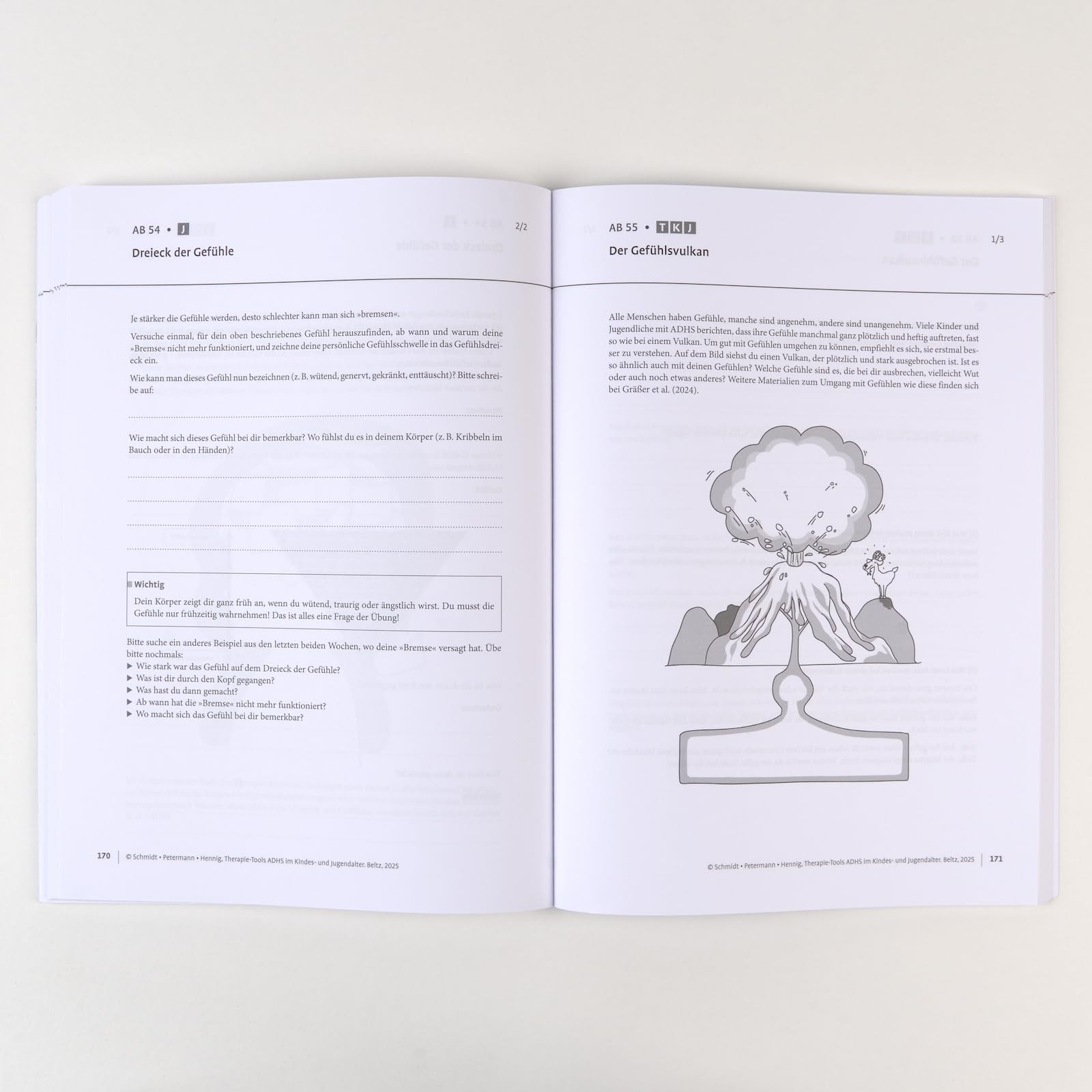 Therapie-Tools ADHS im Kindes- und Jugendalter: Mit E-Book inside inkl. Arbeitsmaterial (Beltz Therapie-Tools)
