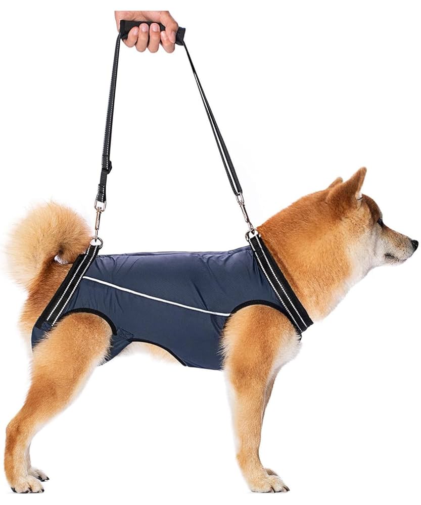 Amazon | 【歩行が楽】 介護用ハーネス 犬 ハーネス 介護 歩行
