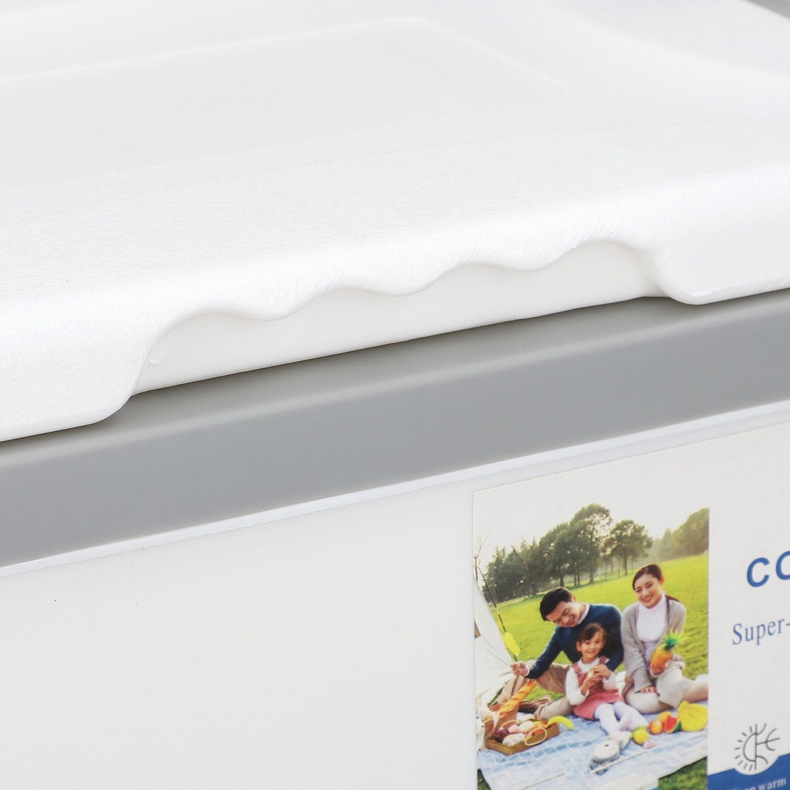 SEAFRONT 10L Izolowany Box Chłodzący, Przenośny Uchwyt