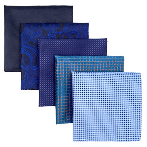 SHLAX&WING 5 Pieces Assorted Mens Silk Pocket Square Handkerchiefs Set 24