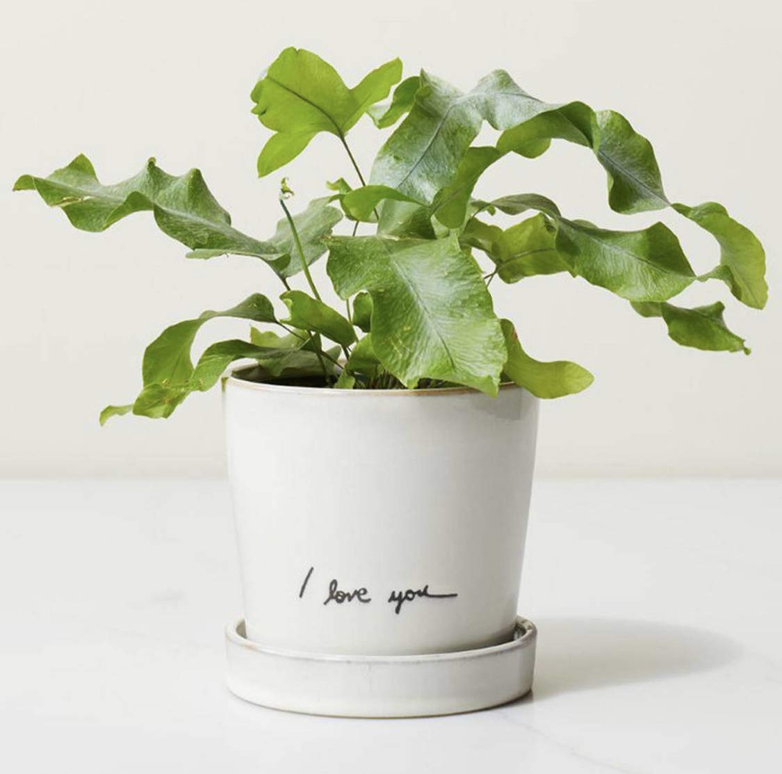 Amazon.com : I Love You Planter - Hearth & Hand with Magnolia