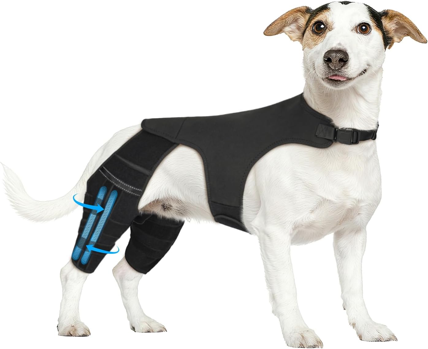 Dog Knee Brace for Torn Acl Hind Leg, 4 Stabilizers Dog Leg Braces for Back Leg, Adjustable Hip Support to Reduces Pain, Ligament Injuries, Luxating Patella (Solid Black, XS)