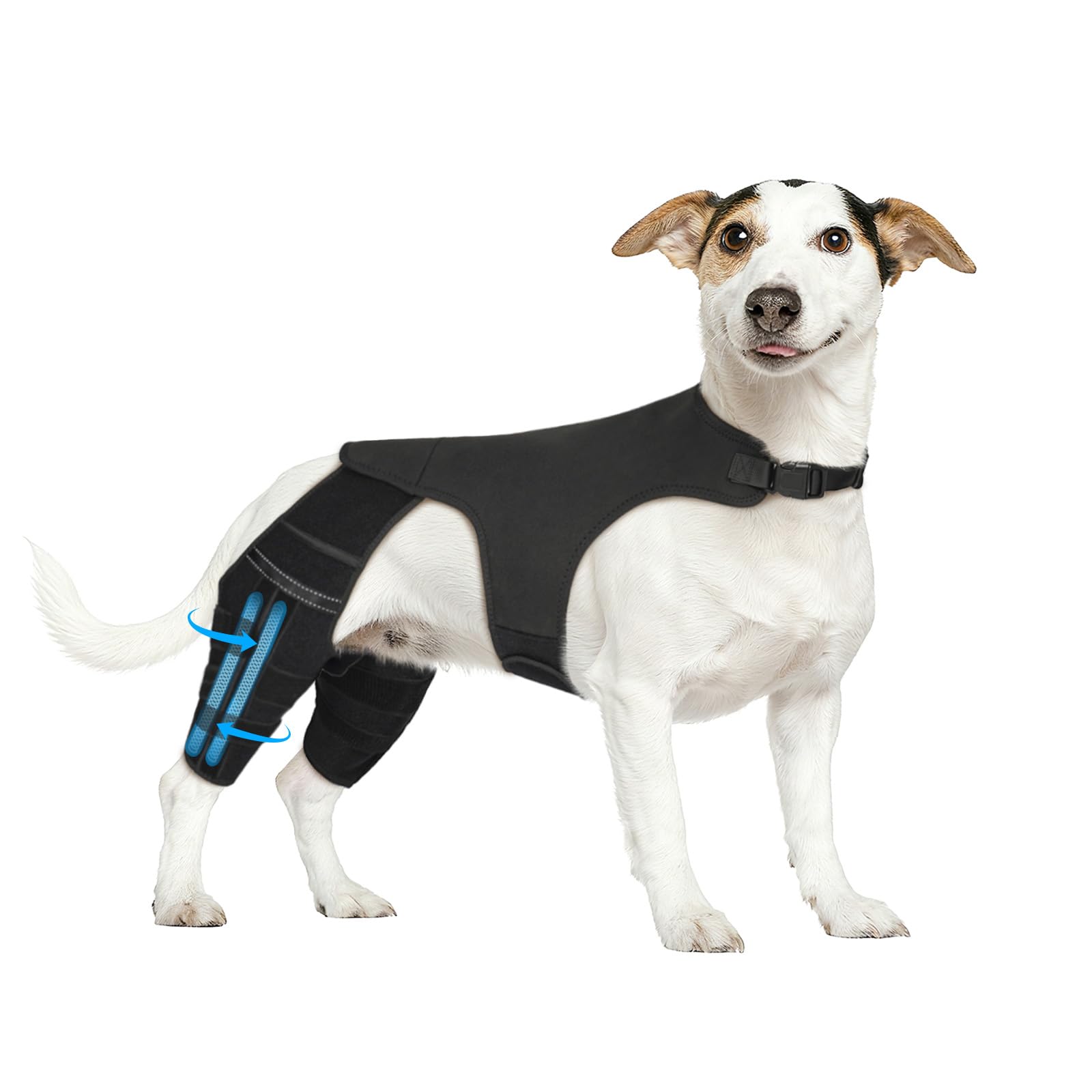 Dog Knee Brace for Back Leg,Adjustable Hip Support for Dogs(Solid Black,XS)