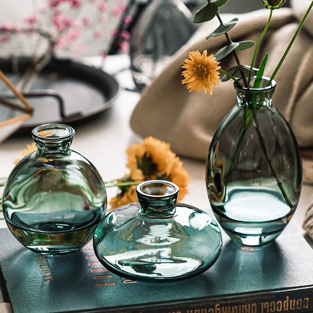 Hniuyun 3Pcs/Set Glass Vase, Small Mini Flowers Bud Vases, Transparent Hydroponic Vase Minimalist Aesthetic Home Decor (Green) - Image 3