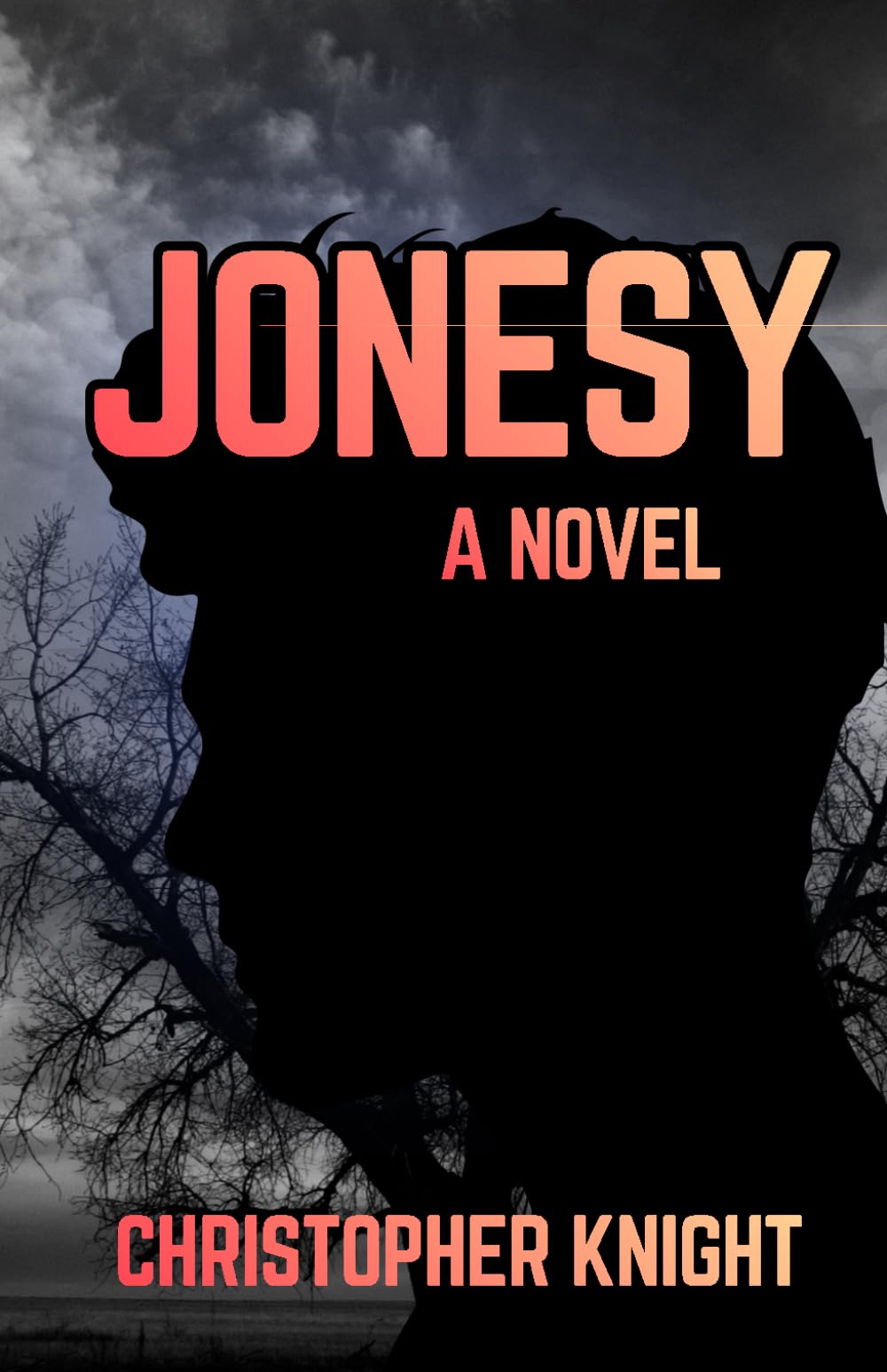 Jonesy: a novel