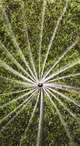 Rain Bird 22SAF Mini Rotary Pop-Up Spray, 360° Full Circle Pattern, 18' - 24' Spray Distance, 4" Pop-up Height,Blacks