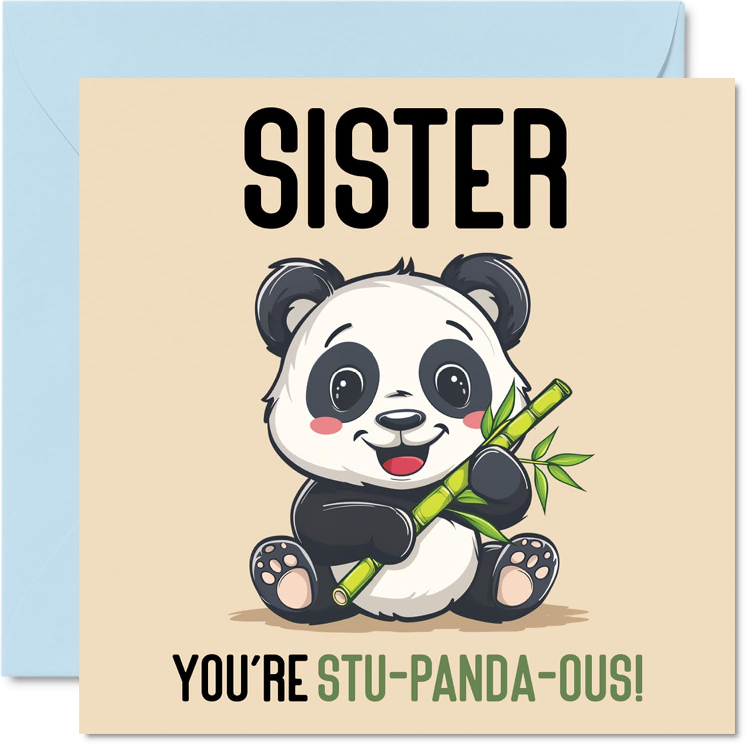 Birthday Cards for Sister - Stu-Panda-ous - Funny Happy Birthday Card for Sister from Brother, Sibling Gifts, 145mm Joke Greeting Cards Women Her