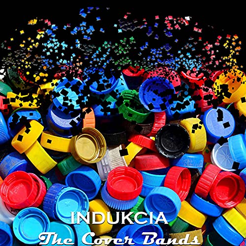 The Cover Bands [Explicit]